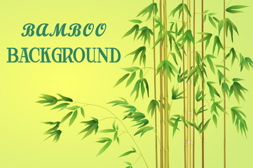 Bamboo Stems with Green Leaves on a Yellow Background. Vector