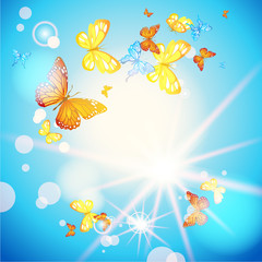 Fototapeta na wymiar Blue sky and butterflies