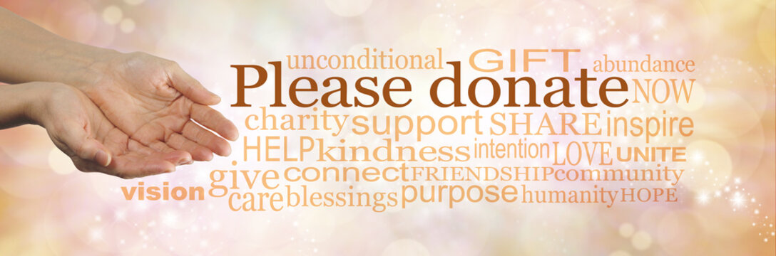 Please donate to our cause - campaign banner with female cupped hands on left and a word cloud surrounding 'PLEASE DONATE' on a peach bokeh sparkling background