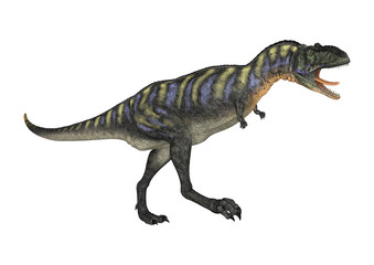 3D Rendering Dinosaur Aucasaurus on White