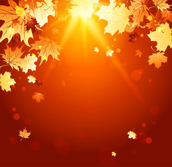 Naklejka na ściany i meble Shining autumn backdrop