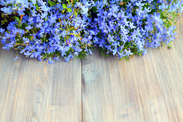 Small blue flowers (lobelia) on the old wooden table. Dainty flowers background