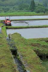 Fototapeta premium 棚田は田植えの準備 宮崎県日南市坂元棚田
