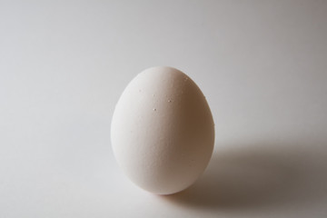 卵 / Egg isolate