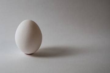 卵 / Egg isolate