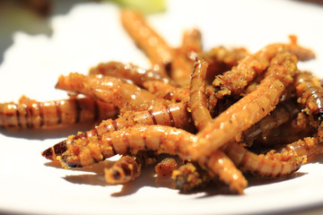 grilled worm with curry