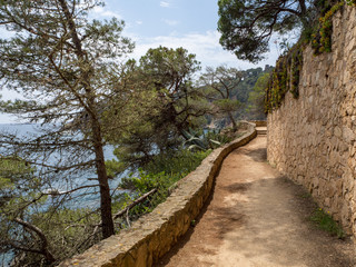Fototapeta na wymiar Camino de Ronda de Calella de Palafrugell en la Costa Brava, Girona OLYMPUS DIGITAL CAMERA