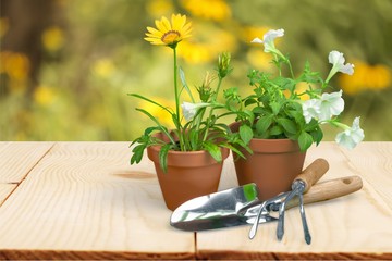 Gardening Equipment.