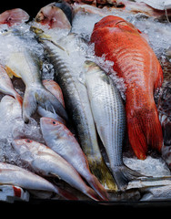 Many fresh fish in ice at market