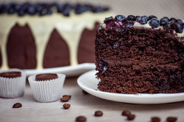 Chocolate cake with blueberry