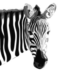 Zebra Vektor Makroaufnahme Kopf schwarz weiss