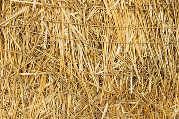 Background of straw