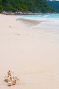 Para&iacute;so malayo