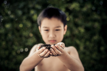 Little plan in boy hands