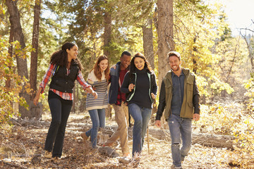 Five happy friends enjoy a hike in a forest, California, USA