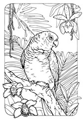 parrot and orchids