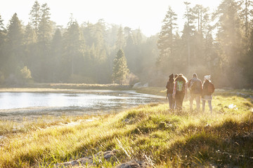 Five friends walking near a lake, distant, back view