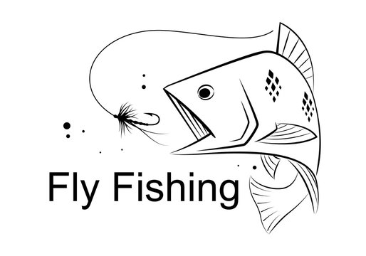 fly fishing, vector
