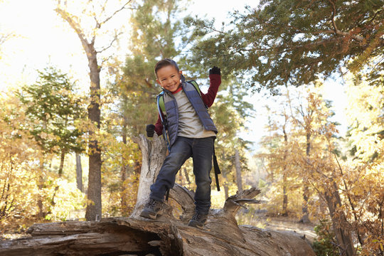 Boy in a forest looks to camera and walks along fallen tree
