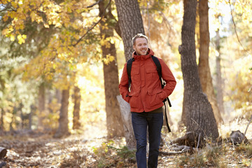 Young adult Caucasian man walking in a forest © Monkey Business
