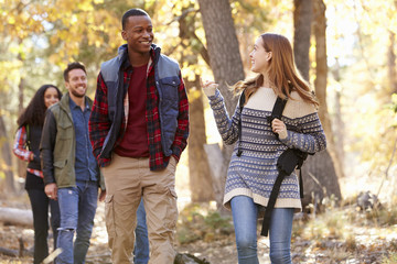 Fototapeta premium Four friends talking as they hike through a forest