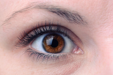 Fototapeta na wymiar Close up of a brown woman eye