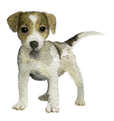 watercolor sketch of paints on a white background