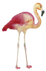 watercolor sketch of paints on a white background