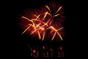 Beautiful colorful firework isolated display for celebration hap