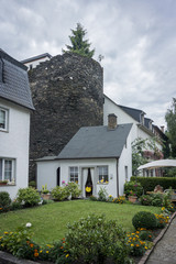 Pretty Garden and Shed