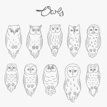 Set of vector owls, lineart