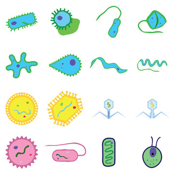 simple microorganisms include Monera bacteria virus algae
