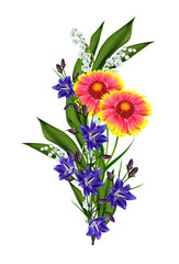 Bouquet of colorful flowers of Gaillardia. delicate flowers isol