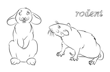 black and white image of a rabbit and rat