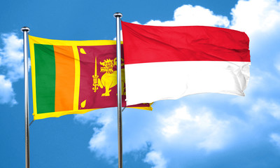 Sri lanka flag with Indonesia flag, 3D rendering