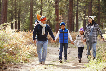 Parents and three children walking in a forest, front view
