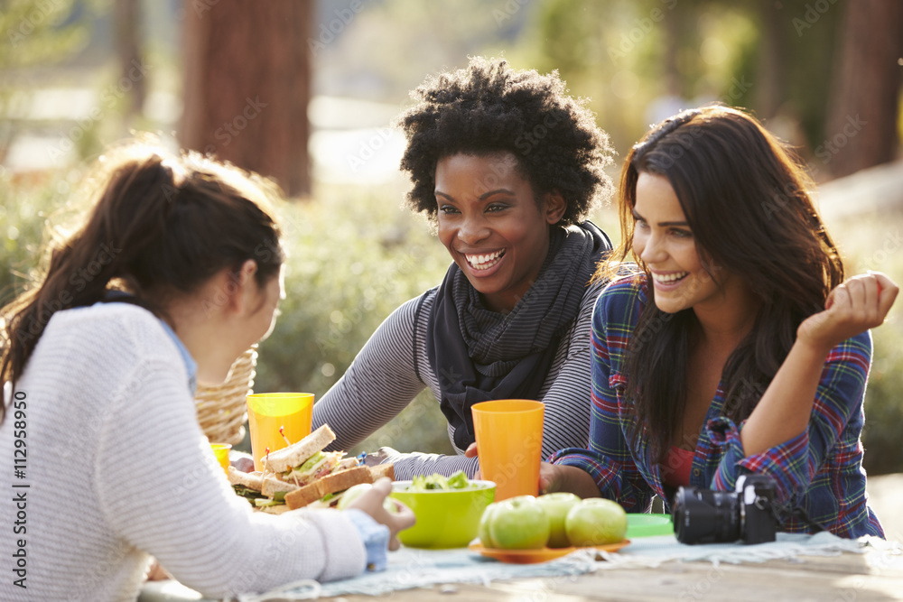 Wall mural Three female friends talking at a picnic table