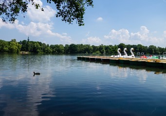 Schwanenteich Zwickau im Sommer