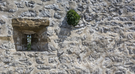 STONE WALL