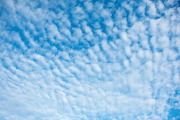 Obraz premium cloudy wave with sun shines blue sky