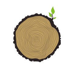 дерево © Abundzu