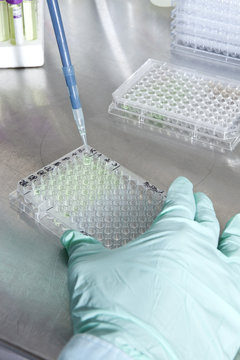 A lab technician using a dropper to put samples into a tray of test tubes, close-up of hand
