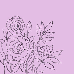 Beautiful roses isolated on light purple background. Hand drawn vector illustration with flowers. Lilac retro floral card. Romantic delicate bouquet. Element for design. Contour lines and strokes. 