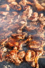 Cooking meat on the fire.