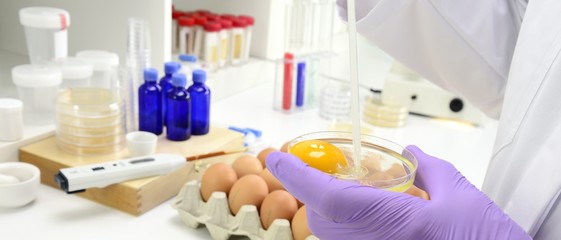 Lebensmittelkontrolle  im Labor Hygiene Ei Salmonellen