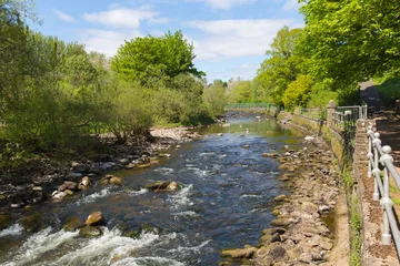 Foto auf Acrylglas Dunblane river Scotland UK view of the Allan Water river in summer which runs through the town © acceleratorhams