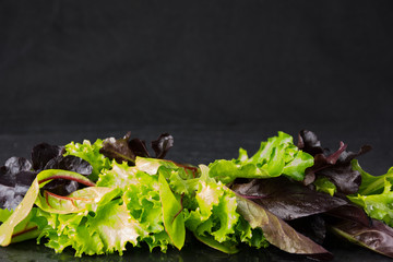 Lettuce salad leaves on stone plate, place for text