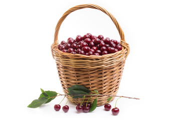 Basket full of fresh red cherry on a white background