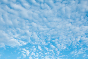 Fototapeta na wymiar cloudy wave with sun shines blue sky