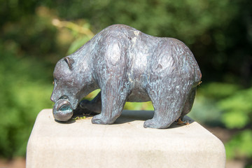 Der Bär frisst den Fisch